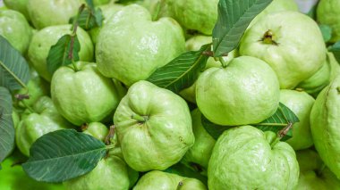 Arka plan için taze Guava meyvesi.