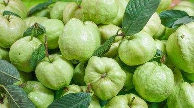 Arka plan için taze Guava meyvesi.