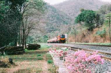 Şehir içi tren kırsal kesimden geçiyor..