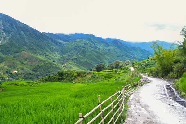 Campos Arroz Com Nevoeiro Sapa Lao Cai Vietnã — Fotografia de Stock