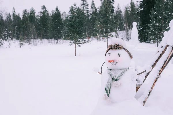 Muñeco Nieve Divertido Parque — Foto de Stock