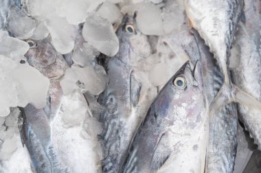 Tayland balık pazarında buzda taze balıklar