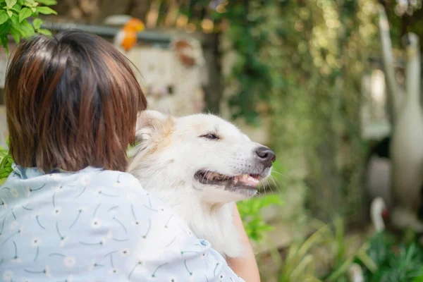 Woman hugging her dog friendly pet,happiness and friendship. pet and woman.