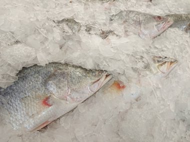 Tayland balık pazarında buzda taze balıklar