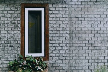 Sarmaşıkla kaplı bir pencere, bahçedeki neredeyse büyümüş bir pencere.