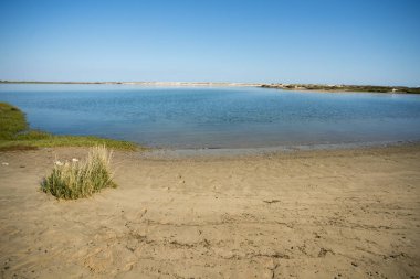 manzara ve doğa Ria Formosa Tavira şehir yakın:
