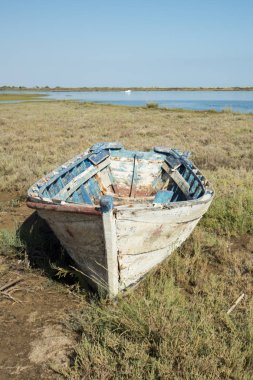 Ria Formosa Tavira şehir yakınında, doğada tekne