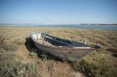 Ria Formosa Tavira şehir yakınında, doğada tekne