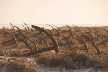 Portekiz Barril Beach'te mezarlıkta çapa