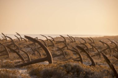 Portekiz Barril Beach'te mezarlıkta çapa