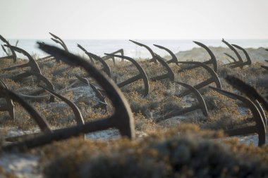 Portekiz Barril Beach'te mezarlıkta çapa