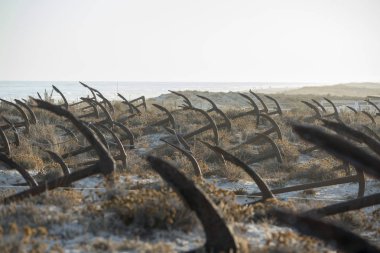 Portekiz Barril Beach'te mezarlıkta çapa