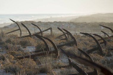 Portekiz Barril Beach'te mezarlıkta çapa