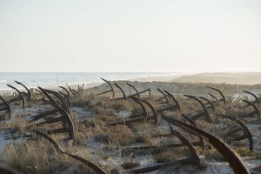 Portekiz Barril Beach'te mezarlıkta çapa