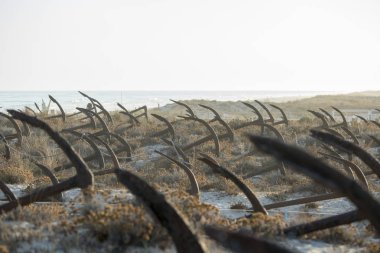 Portekiz Barril Beach'te mezarlıkta çapa