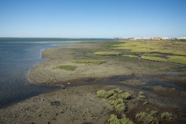 Ria Formosa Portekiz, doğal Park Quinta de marim