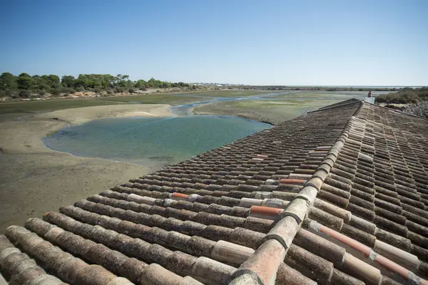 Ria Formosa Portekiz, doğal Park Quinta de marim — Stok fotoğraf