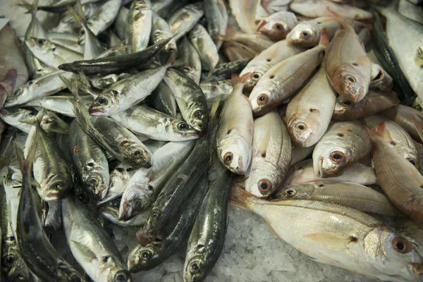 El Mercado de pescado en el Mercado Hall —  Fotos de Stock