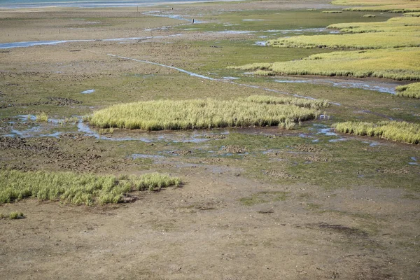 Naturpark quinta de marim von ria formosa in portugal — Stockfoto