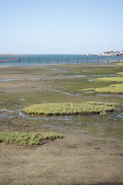 Přírodní Park Quinta de marim Ria Formosa v Portugalsku — Stock fotografie