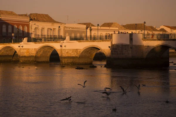 Bron Ponte Romana i den gamla staden Tavira — Stockfoto
