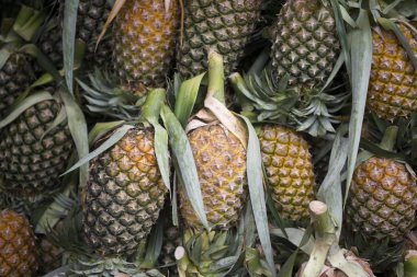 ananas gıda Market Nong Khai şehir 