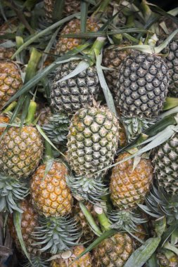 ananas gıda Market Nong Khai şehir 