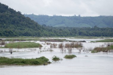 Tayland 'daki mekong nehrinin manzarası