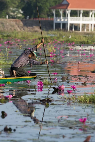 The Lotus Lake of Kumphawapi in Thailand — Stock Photo, Image