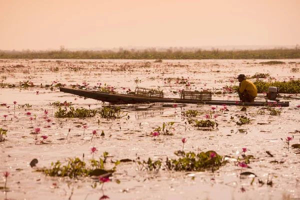 The Lotus Lake of Kumphawapi in Thailand — Stock Photo, Image