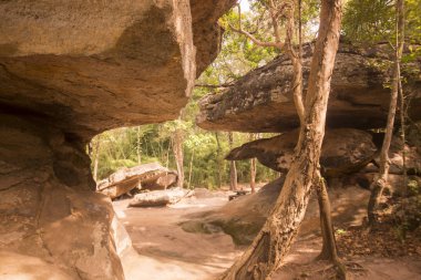 Tarih öncesi mağara ve Stone Park Tayland