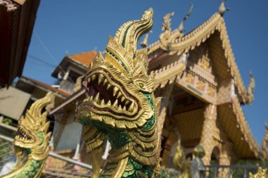 Wat chedi sao şehir Lampang Tayland yakınındaki lang