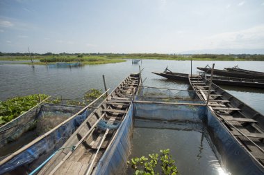 Tayland tapınak Adası'nda bir woodboats