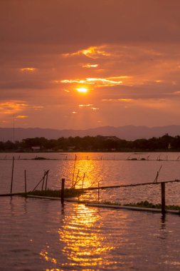 manzara Kwan Phayao Gölü Tayland