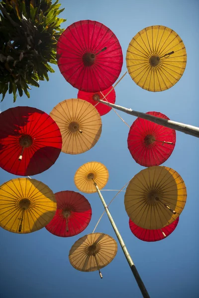 Азіатський парасольок в Таїланді — стокове фото