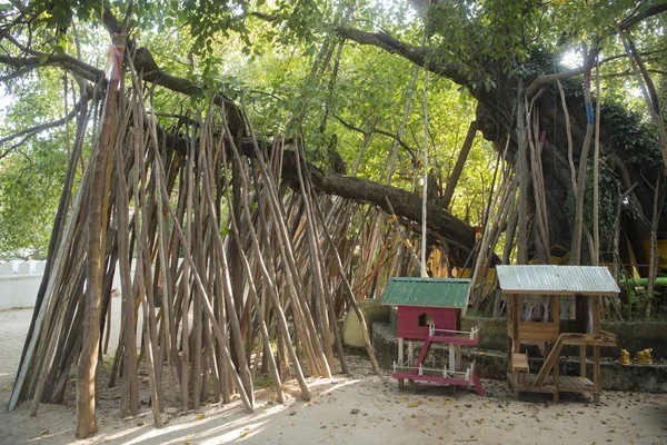 Spirito con bastoncini di legno nel parco in Thailandia — Foto Stock