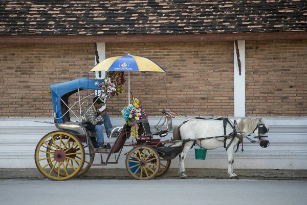 En hästskjuts i norra Thailand — Stockfoto