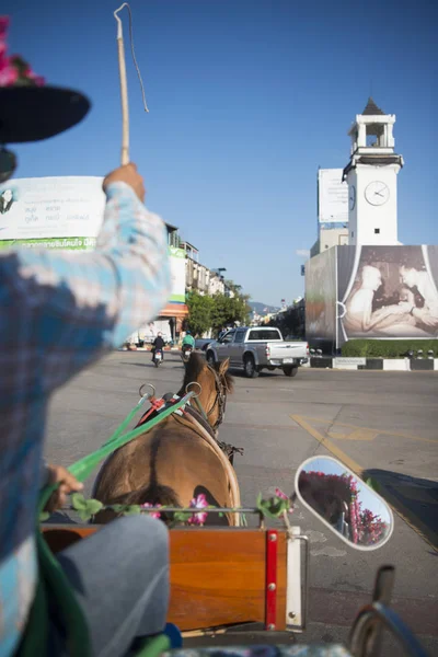Конный экипаж в городе Лампанг в Таиланде — стоковое фото