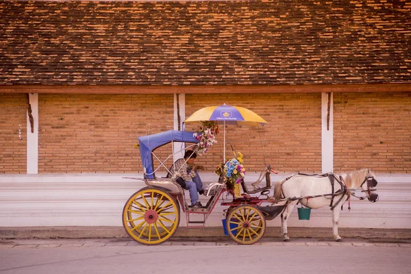 Kuzey Tayland at arabası — Stok fotoğraf