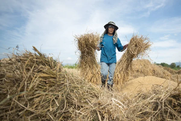 Agricultor que trabaja en el campo — Foto de Stock