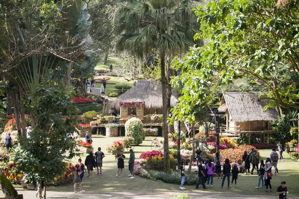 Hermosas flores en Mae Fah Luang jardín ornamental — Foto de Stock