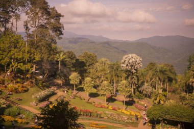 Mae Fah Luang Bahçe insanlarda 
