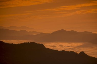Cliff Phu Chi Fa 