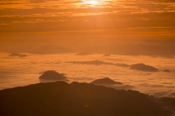 Cliff Phu Chi Fa — Stok fotoğraf