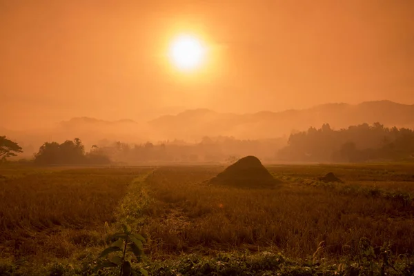 Paysage dans le brouillard mornig, Thaïlande . — Photo