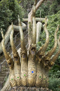  maymun mağara Tapınağı