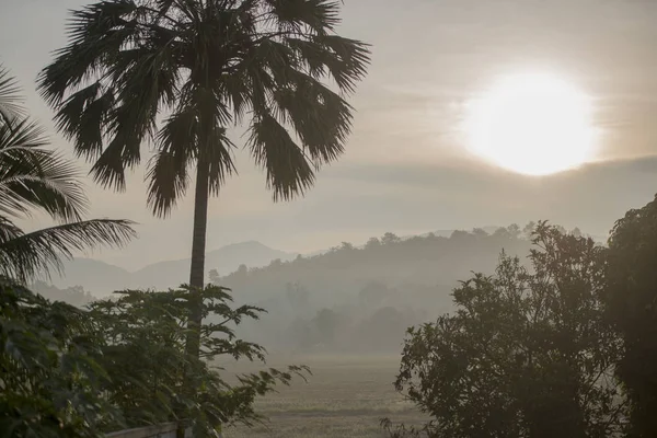 タイは残った霧を風景します。. — ストック写真