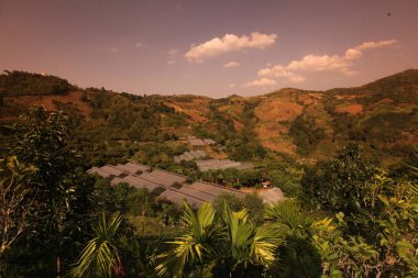 gündoğumu kasaba Mae Salong üzerinde