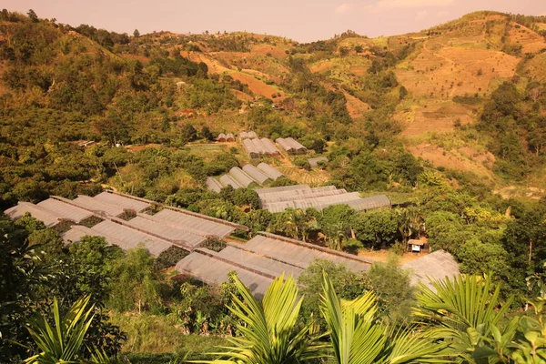 Salida del sol sobre la ciudad de Mae Salong — Foto de Stock