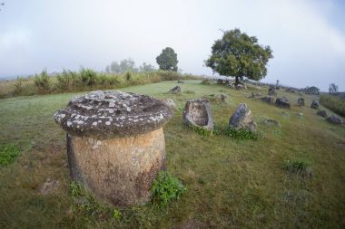 Düz kavanozlar, Laos